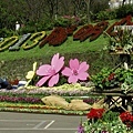 陽明山花季2013_5.jpg