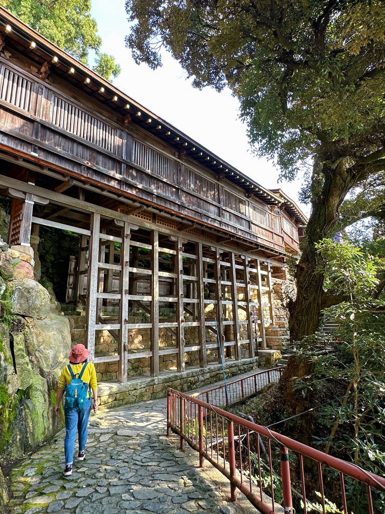 滋賀｜琵琶湖八景 竹生島（內含搭船交通及景點）