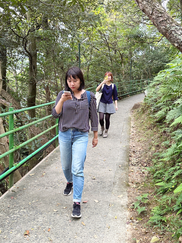 滋賀 近江八幡 |八幡山纜車 八幡山城跡 まるたけ近江西川