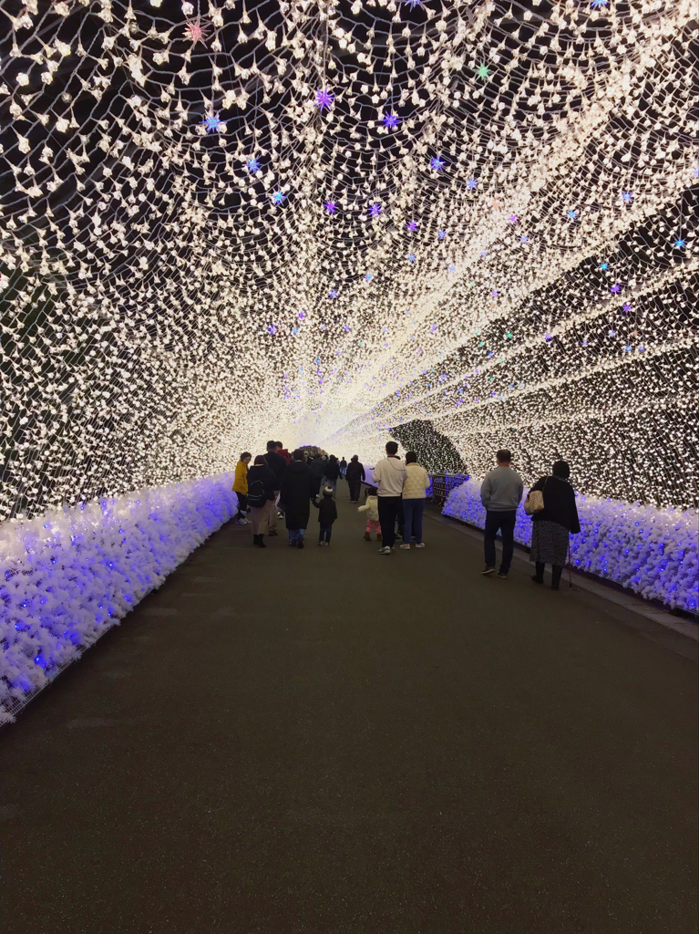 名古屋｜名花之里 花海燈海一次滿足園區景點+交通介紹