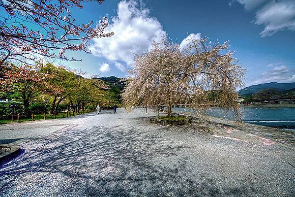 _0-web-0-1-KYOTO-BST-MG_6781.jpg