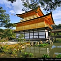 w_ult-金閣寺-ult-23c-MG_8344.jpg