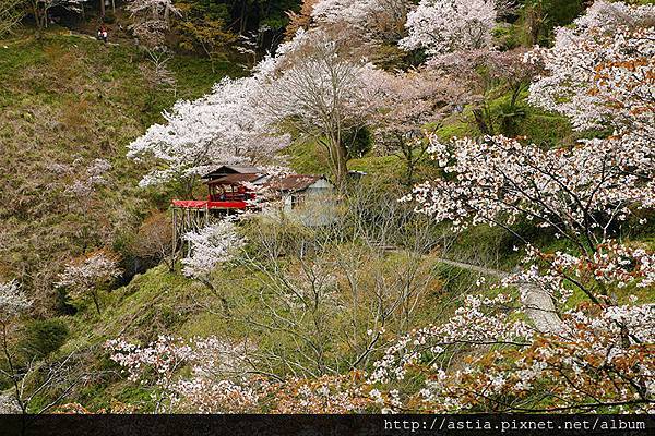 w_ult-櫻山茶亭_MG_3076.jpg