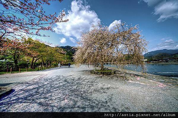 w_ult-KYOTO-BST-MG_6781