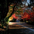 0-web-HDR2-光明寺_7472_0_1.jpg