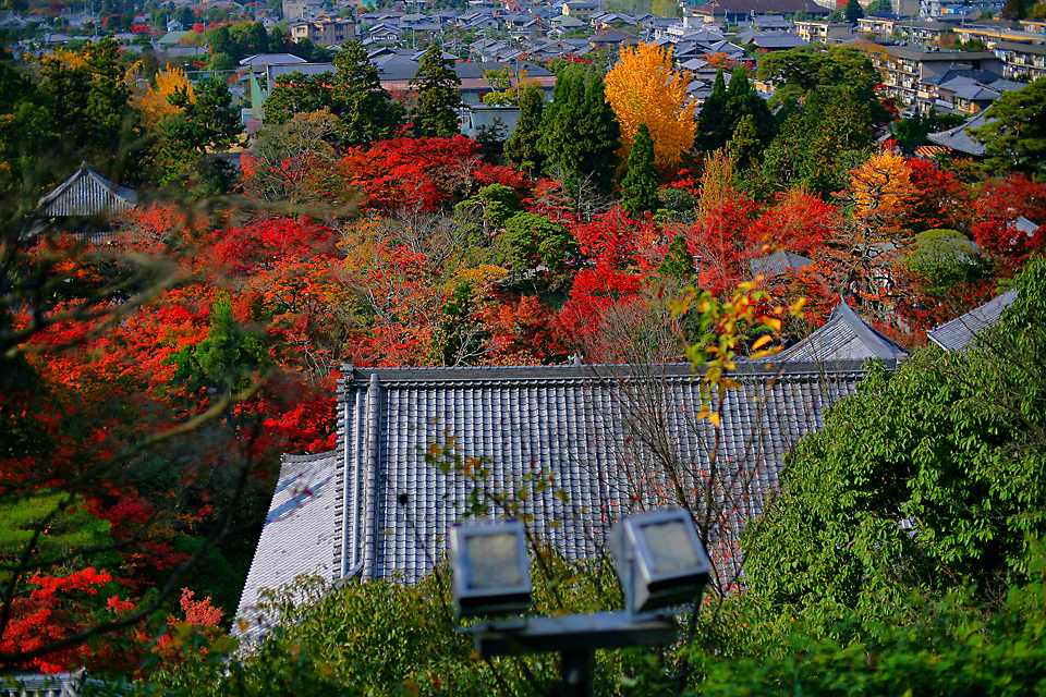 2-web-永觀大景-dym-13c-IMG_5206.jpg