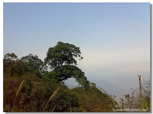 指標旁美景