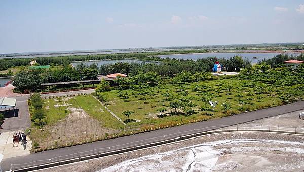 七股鹽山 七股鹽山