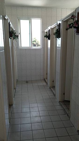 七股鹽山 七股鹽山