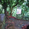 IMG_2169.JPG