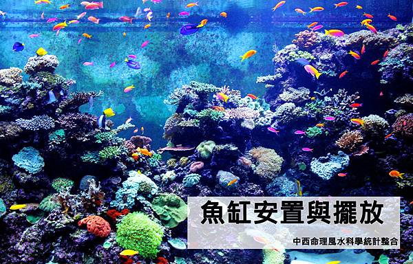 中西命理風水科學統計整合-魚缸風水.jpg