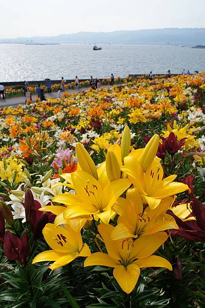 大阪 看美景百合花 A Style心齋橋 痞客邦