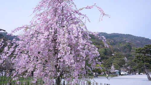 P1450352.JPG - 2016.04 日本環球