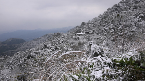 P1440643.JPG - 2016.01 新店獅仔頭山