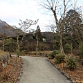 967A9890.jpg