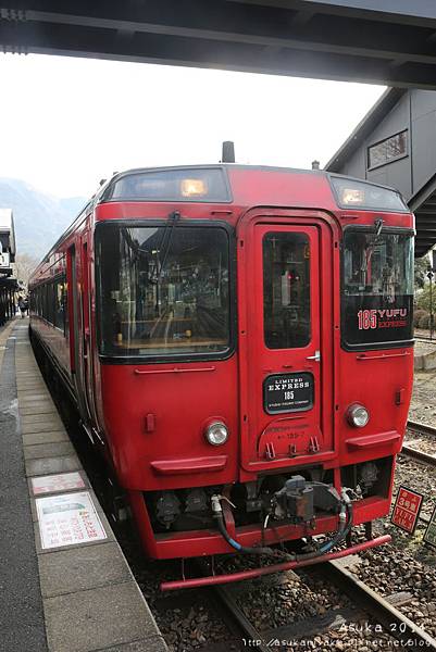 967A9965.jpg