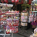 japan0607 288-1.jpg