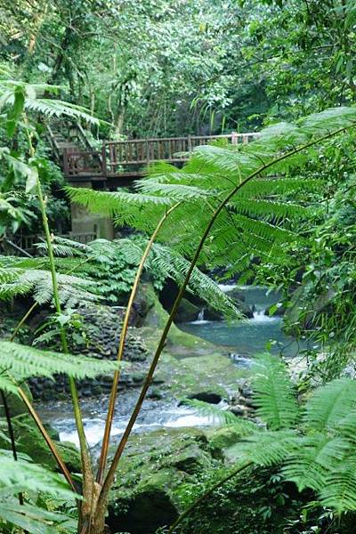 水濂橋步道5.JPG