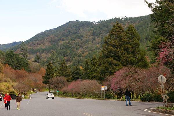 武陵富野度假村2.JPG