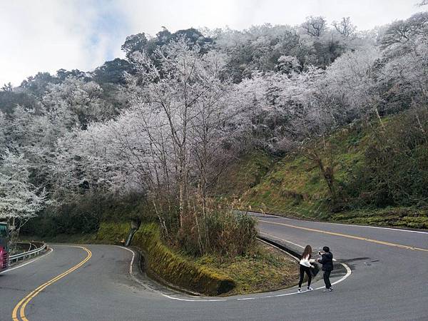 叫我小虎媽【遊】【南投仁愛鄉】2018合歡山下雪啦！1