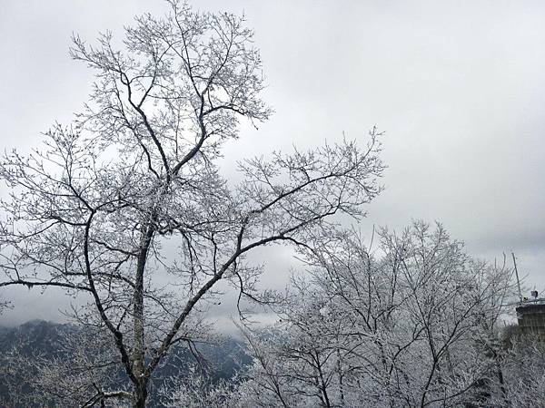 叫我小虎媽【遊】【南投仁愛鄉】2018合歡山下雪啦！3