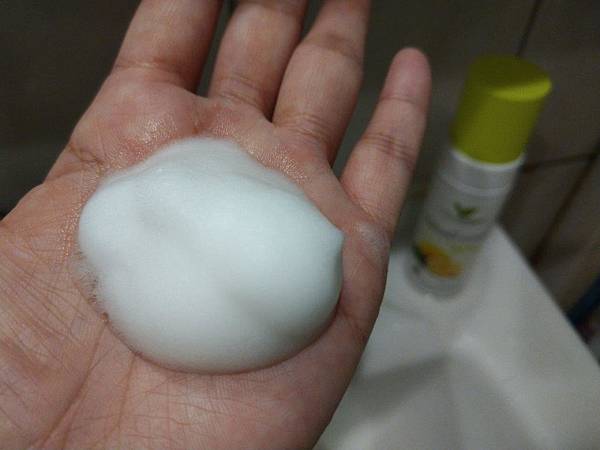 【體驗】清潔│卸妝│控油一次滿足@ CosNature德國植萃德國香蜂草控油潔顏慕斯3 試用