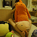 蘿蔔騎豬.gif