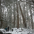 加羅神社-069.jpg