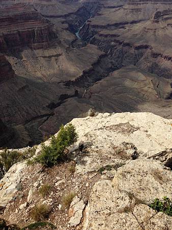 吃午餐的松鼠 吃午餐的松鼠