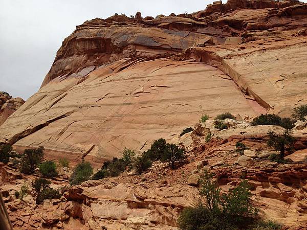 Capitol Gorge Road