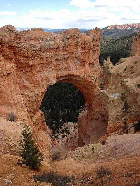 Natural Bridge