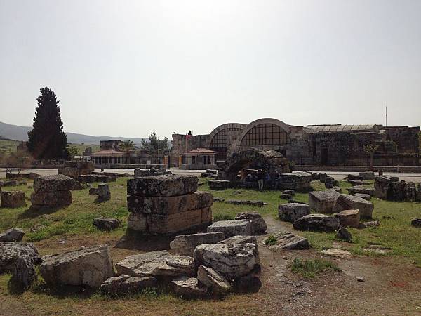 IMG_0828.JPG IMG_0828.JPG