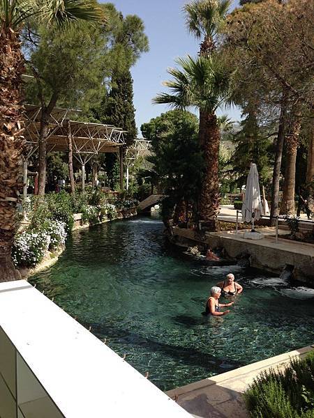 IMG_0831.jpg IMG_0831.jpg