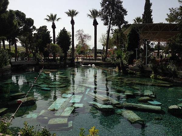 IMG_0833.JPG IMG_0833.JPG