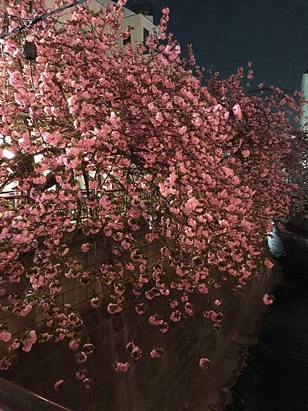 %E6%9C%AA%E5%91%BD%E5%90%8D