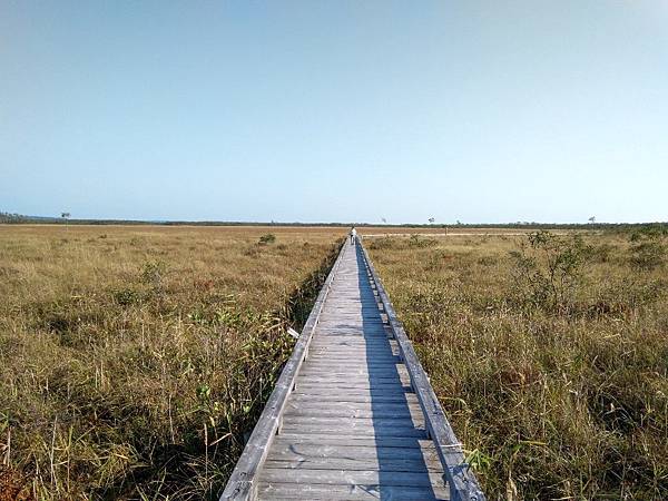 IMG_20190930_145623.jpg6330277119618942876 IMG_20190930_145623.jpg6330277119618942876