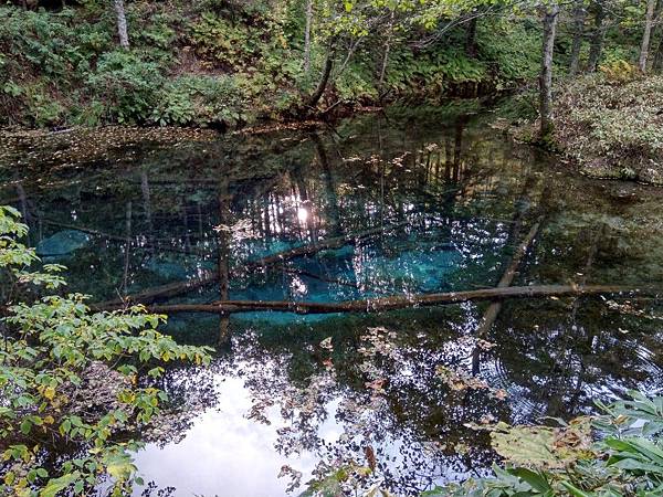 IMG_20191001_150230.jpg3755189891500399545 IMG_20191001_150230.jpg3755189891500399545