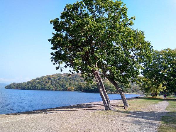 IMG_20191002_090222.jpg2823203227627981781 IMG_20191002_090222.jpg2823203227627981781