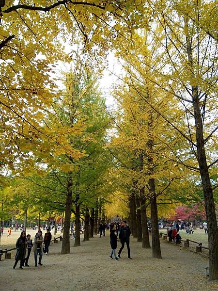 IMG_20191026_145400.jpg5566750476092909548 IMG_20191026_145400.jpg5566750476092909548