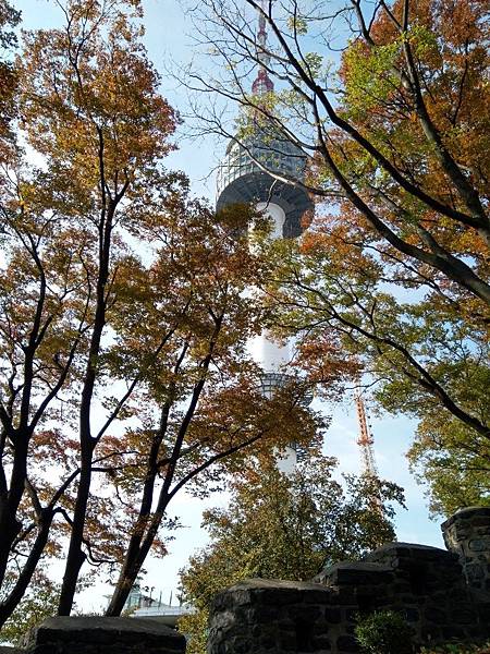 IMG_20191028_110325.jpg2837756929653968455 IMG_20191028_110325.jpg2837756929653968455