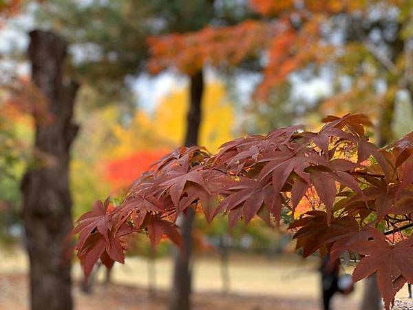 line_118527916798538.jpg2426851906365163108 line_118527916798538.jpg2426851906365163108