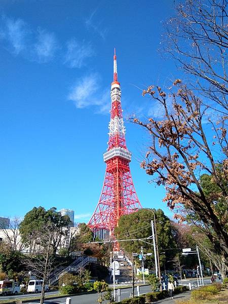 IMG_20191220_131455.jpg208361026685755517 IMG_20191220_131455.jpg208361026685755517