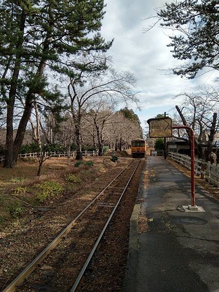 IMG_20191216_121626.jpg2844078647102463449 IMG_20191216_121626.jpg2844078647102463449
