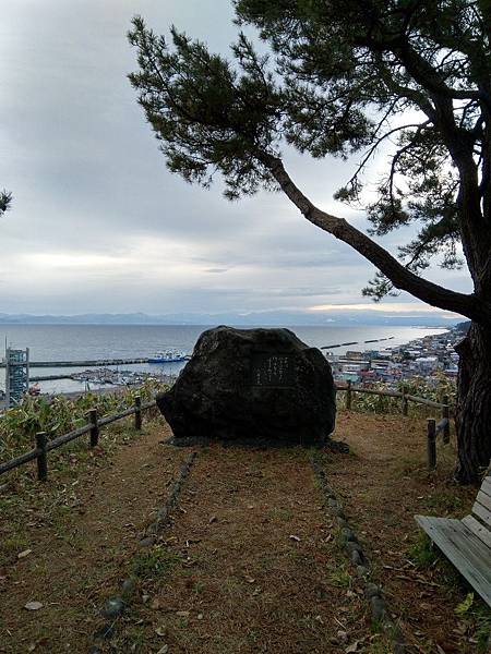 IMG_20191201_094722.jpg7230065713797463086 IMG_20191201_094722.jpg7230065713797463086