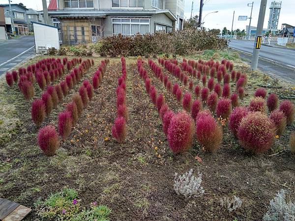 IMG_20191201_092002.jpg8850903633922085841 IMG_20191201_092002.jpg8850903633922085841