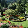 Butchart Gardens02