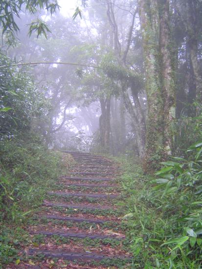 南橫--中之關步道