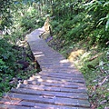 竹坑溪--階梯