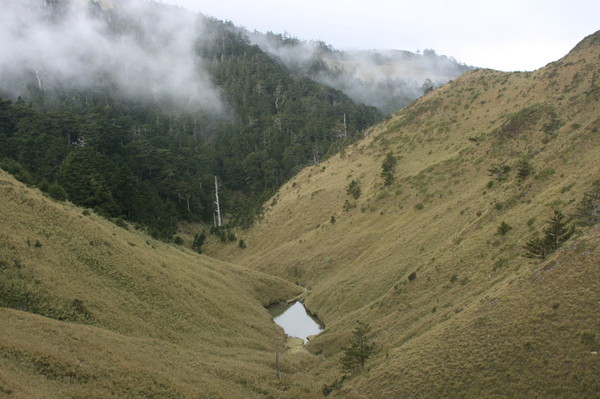 北峰山坡的小水窪