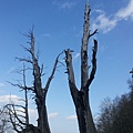 20140207_101456.jpg